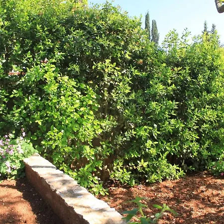 8748a Apartmán